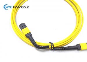 China FlexiBend MPO Fiber Optic Cable Assemblies wholesale