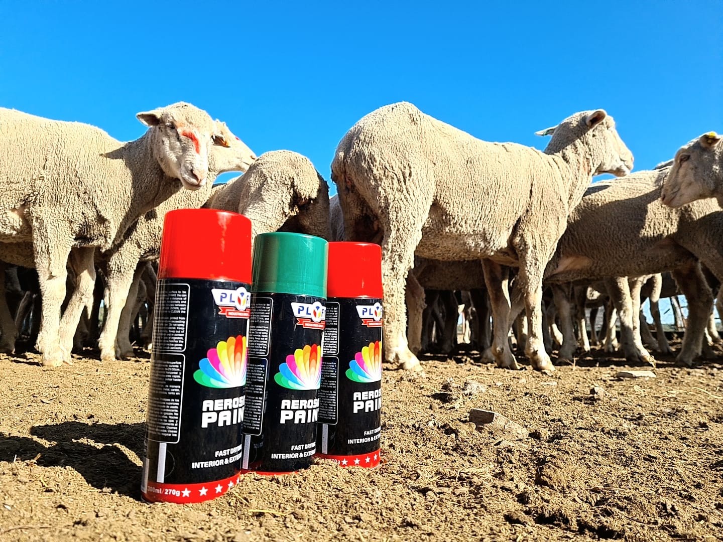 China Plyfit Livestock Marker Spray No Harm Cow Sheep Marking Spray Paint wholesale