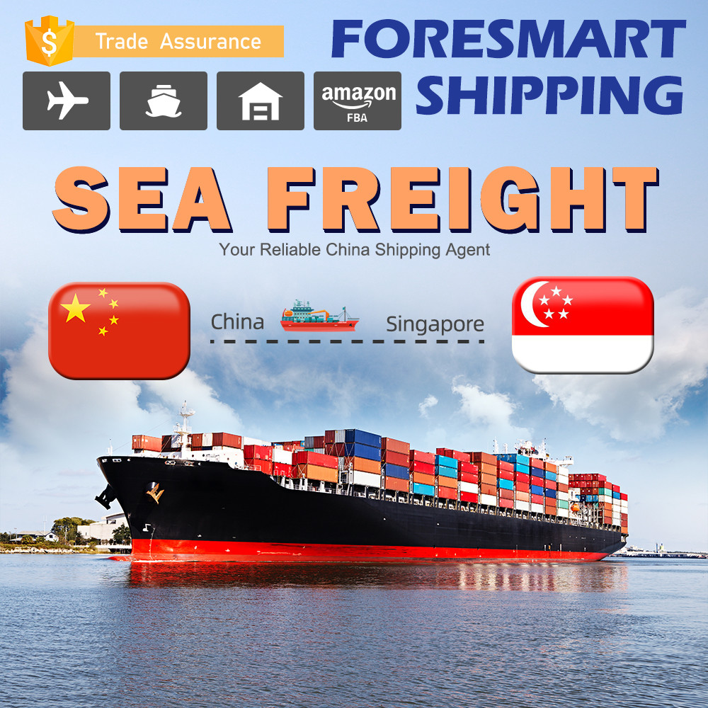China TUV Ocean Freight From China To Singapore Freight Forwarder wholesale