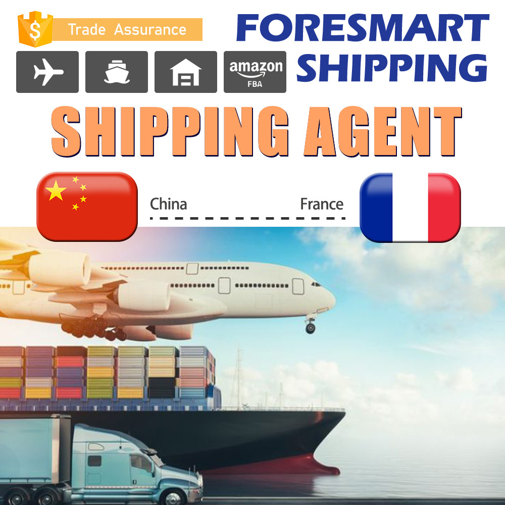 China Shenzhen To France Sea Freight Forwarder China To Europe wholesale