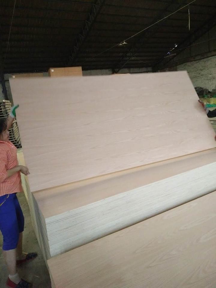 China China ACEALL Red Oak Faced Plywood Tableros Madera for Furniture Decoration wholesale