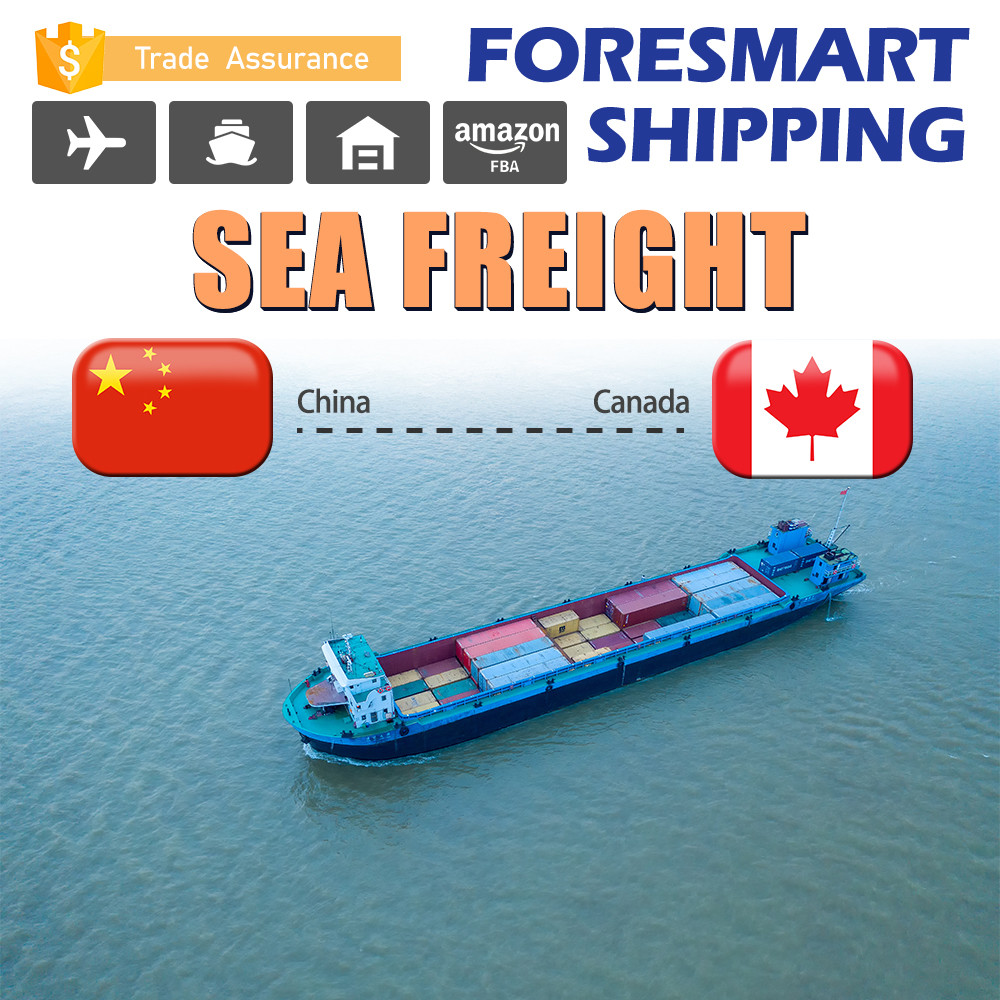 China 24h Online North American Freight Logistics Door To Door Sea Freight wholesale