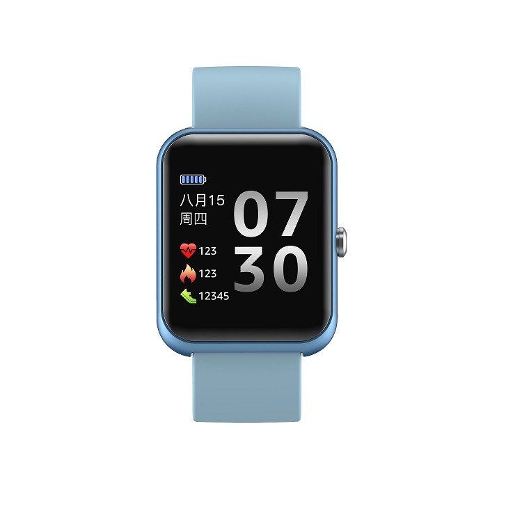 China Blood Pressure 1.3" LCD Business Movement Smartwatch 170mAh wholesale