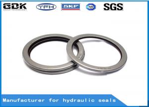 VAY Pin Dust Seals For Bearings , Wiper Seal Hydraulic Cylinder Seals Construction Machinery