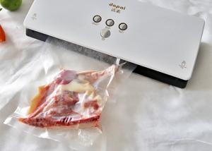 China AC100V ABS Shell Household Vacuum Packaging Sealer wholesale