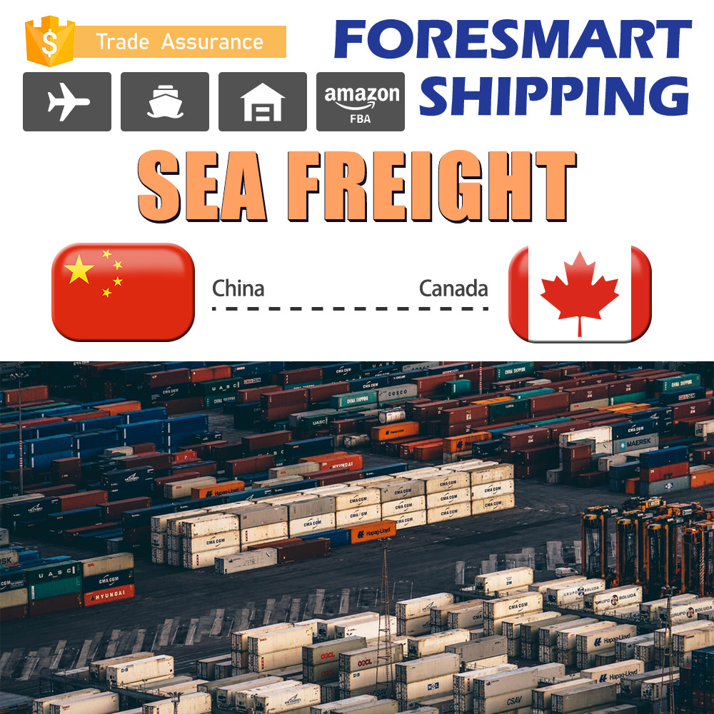 China Shenzhen LCL Sea Freight , China To Canada LCL Ocean Shipping wholesale