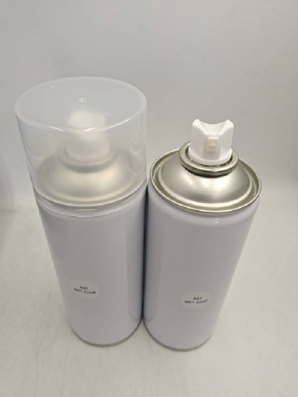 China 400ml OEM Removeable Spray Paint PLYFIT Rapid Change Color EN71 Waterproof wholesale