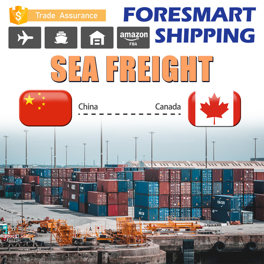 China Freight Forwarder FCL Sea Freight From China To Canada wholesale