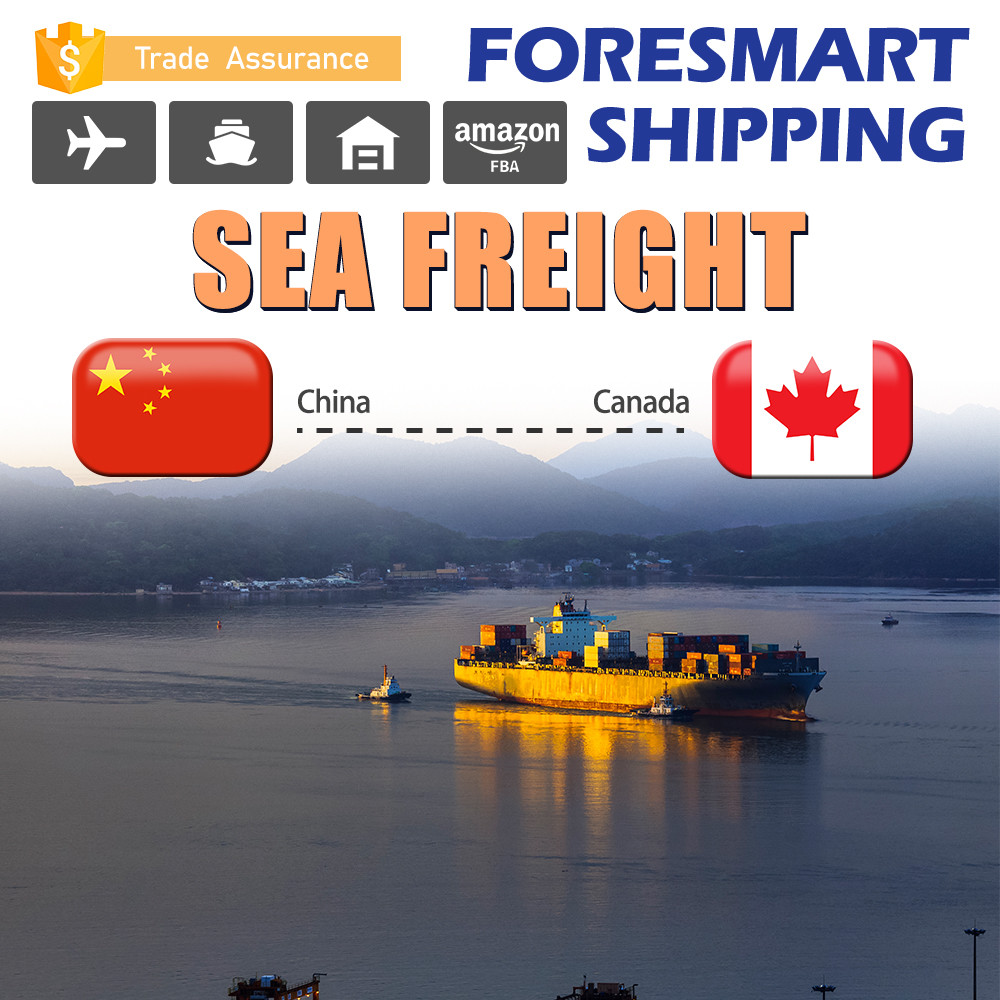China Ningbo China To Toronto Canada North America Freight wholesale
