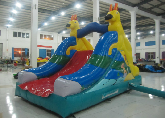China Big Party Water Slide Bounce House , Outdoor Games Water Park Little Tikes Water Slide wholesale