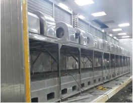 China Durable Fast Freezer Machine , Fast Freezing Freezer 11 Pieces Layer Quantity wholesale