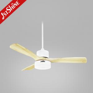 China Winter Season Smart Bldc Ceiling Fan With Light By Reversible Function wholesale