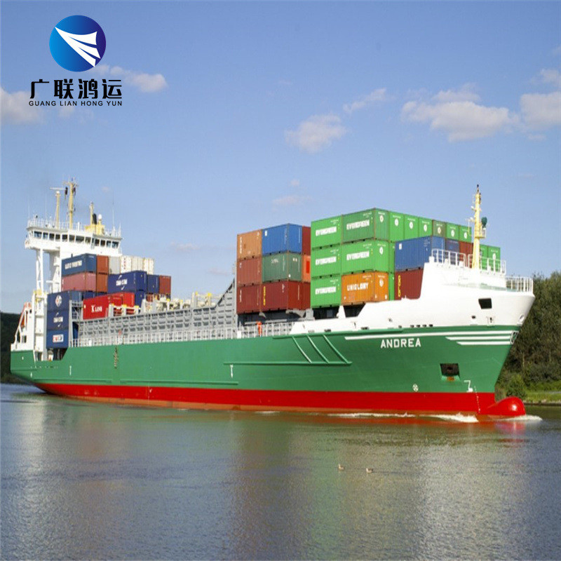 DDP International Ocean Freight Forwarder China To USA Shipping Agent
