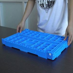 China Multiple Size Folding Green Plastic Fruit Crate For Supermarket wholesale
