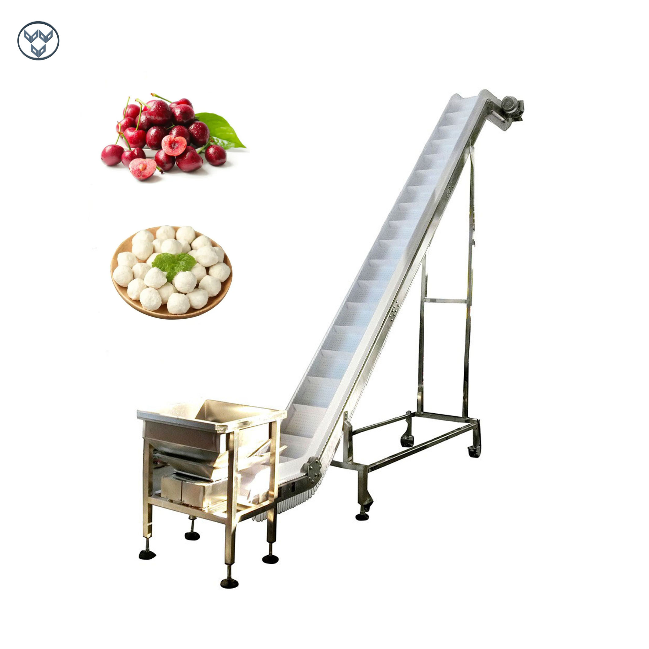 China Inclined Belt Chain Conveyor For Conveying Frozen Food Fresh Cherry Burry wholesale