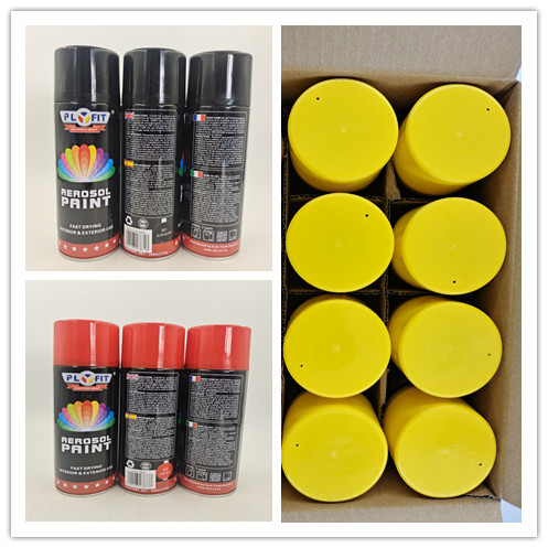 China TUV Multipurpose Colour Spray Paint 10min Drying OEM 450ML For Cars wholesale