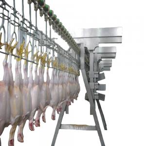 China Brand Poultry Meat Plucking Machines Processing Plant Chinese Chicken Abattoir Equipment Chicken Duck Goose Bird Automatic 800 wholesale