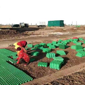China HDPE Black Green White Plastic Planting Grass Paver Grid for Parking Lot and Driveway wholesale