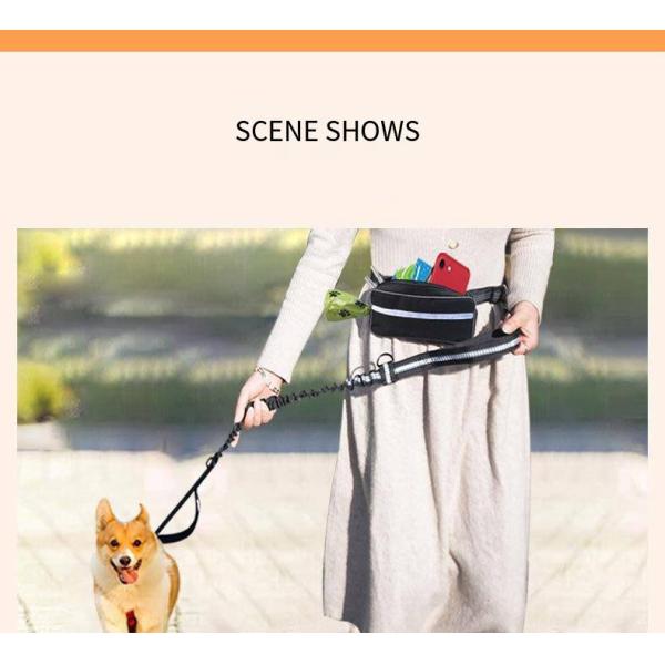 Pet Sports Running Reflective Material Leash Dog Double Handle Leash With Waist Bag Set