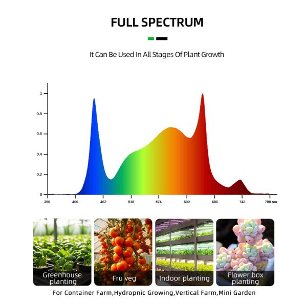 Indoor 4x4 ft Coverage Dimmable Full Spectrum 500W Led Growing Light Bar for Veg Medical Plant
