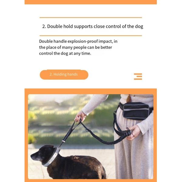 Pet Sports Running Reflective Material Leash Dog Double Handle Leash With Waist Bag Set
