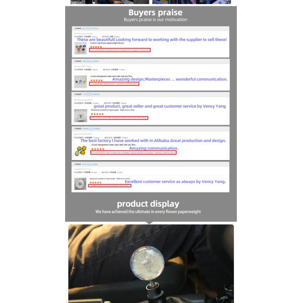 Custom circular gear Knob Embedded Universal Racing Crystal Ball Dandelion real Flower Shift Knob