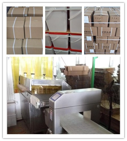 Packing HACCP Certificate Appetizer Sushi Pickled Ginger Antibacterial