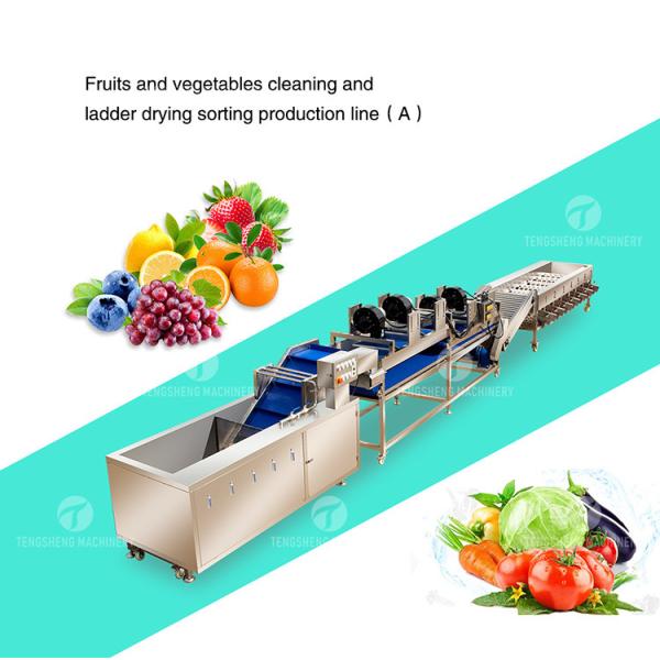 Drying Sorting Circulating Surfing Fruit And Vegetable Processing Line Apple Tengsheng