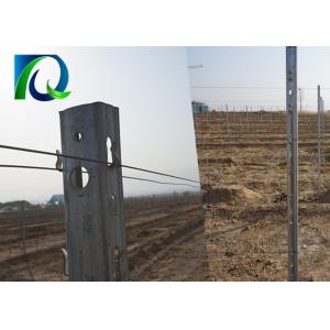 Buy cheap Agricultural Galvanised Steel Vineyard Posts 2500x1.5MM High Wind Resistance from wholesalers