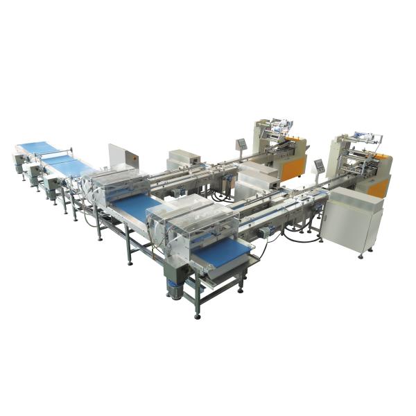 30 to 300pcs/Min Biscuit Wrapping Machine