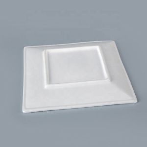 Eco Friendly Square Food Pulp Plate With Lid OEM ODM Available