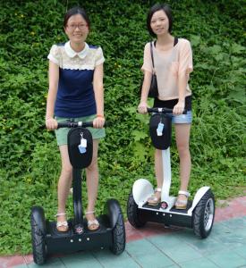 China Rechargeable Electric Scooter 19 Inch 2 Wheeled Segway With Poster Board wholesale