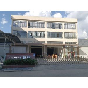 FUJIAN TECGEN POWER CO., LTD.
