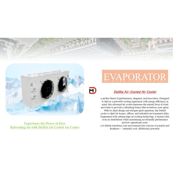 10 Capacity Cold Room Evaporator with Not Easy To Scale Feature and Copper Tube And Aluminum Fin Coil Type