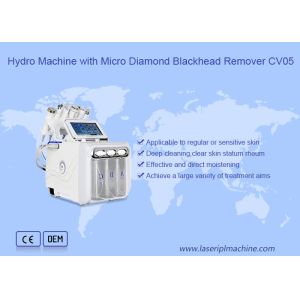 China Salon Hydro Micro 220v Diamond Blackhead Remover wholesale