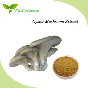 China Natural Oyster Mushroom Extract Powder Boost Immunity Kosher Certified wholesale