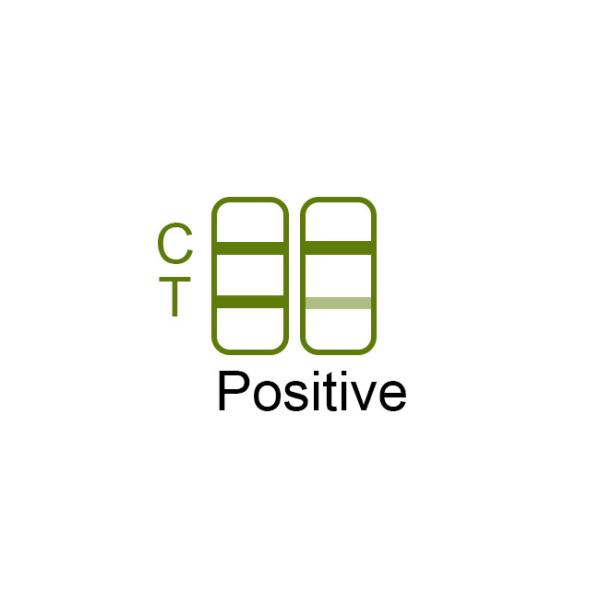 SARS-CoV-2 Antigen Swab Test Kit 1 Tests/Kit CE RTK Antigen Nasal Swab