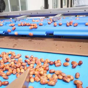 China Advanced Size Division 2.0 Tons Per Hour 8-Lane Palm Dates Sorting Machine wholesale