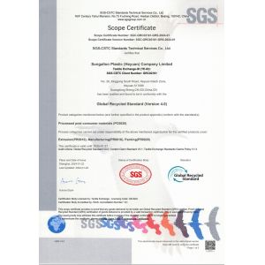 sungallon plastic (heyuan) company limited Certifications