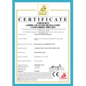 Wuxi Bewis Sensing Technology LLC Certifications