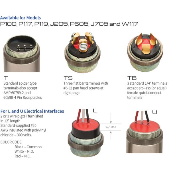 P119G Float Level Switch 100 PSIG Zinc Die Cast 1/8" NPT Male