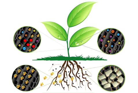 HOT SALE HIGH QUALITY DOWCROP BIO-CARBON@FULVIC BIO STIMULANT LIQUID 100% WATER SOLUBLE FERTILIZER ORGANIC FERTILIZER