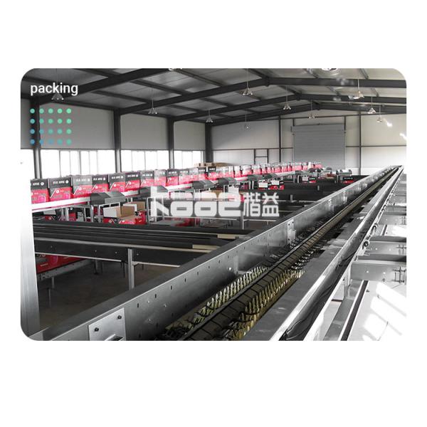 Intelligent Photoelectric Dates Sorting Machine Grading Equipment Machine