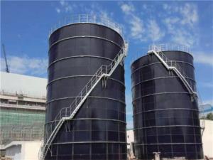 China Large Scale Farm Manure Treatment Project Clean Energy Environmentally Friendly Glass Lined Steel Tank on sale