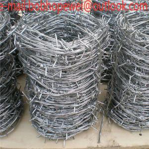 China babred wire fence hardware/barbed wire fence drawing/barbed wire fence around house/barbed wire cost/barbed wire design on sale