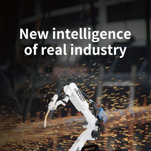 Fast Accurate Automatic Welding Robot 5kg Load With IP50 Protection Level