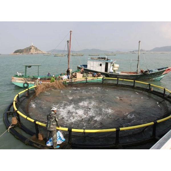 PET Durable Hexagonal Wire Kikko Net 80x100mm