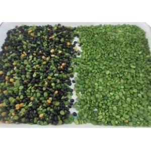 Wenyao High Accuracy Color Sorter Beans Grain Cereal Wheat Corn Seeds Tea Nuts