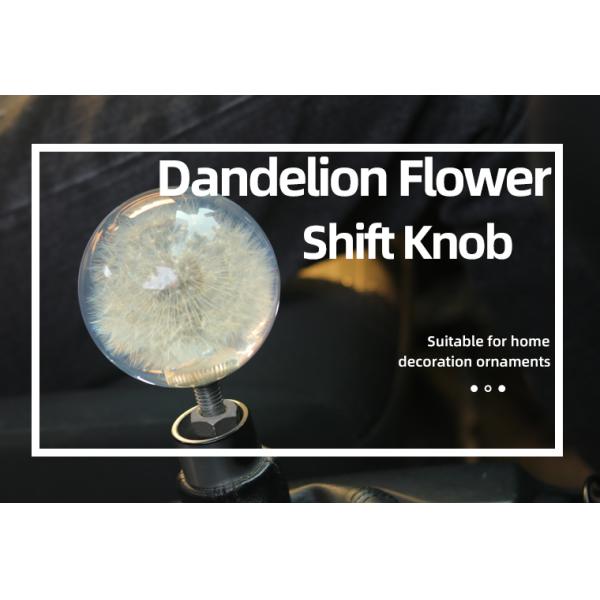 Custom circular gear Knob Embedded Universal Racing Crystal Ball Dandelion real Flower Shift Knob