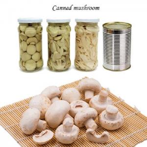 China Champignon Mushroom Canned Fruits Vegetables Champing Mushroom Slices wholesale